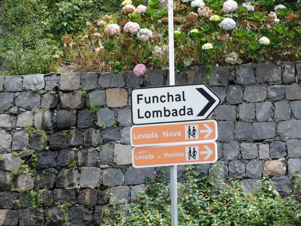 Levada Nova House Villa Ponta do Sol  Bagian luar foto